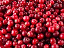 Cranberries DV       SKYLGE     2,5kg