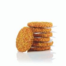 Crunchy Chik'n Burger 135gr SALOMON 4x1,5kg