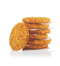 Crunchy Chiken Burger SALOMON 64x90gr