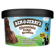 B&J Chocolate Fudge Brownie BEN & JERRY 12x100ml