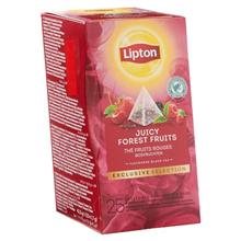 Exclusive Tea Forest Fruits   LIPTON   6x25st