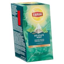 Exclusive Tea Subtiele Munt      LIPTON  25st