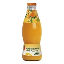 Appelsientje Sinaasappelsap Klein RIEDEL 24x0 2ltr