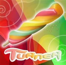 Turner (twistijsje)   DOMINI  20x90ml