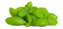 Basilicum blad (zak) Chef's Delicious 1kg