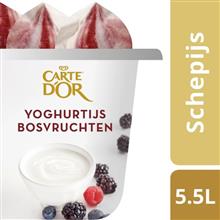 Carte dOr FOH Yoghurt Bosvrucht 5,5ltr