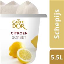 Carte d'Or FOH Sorbet Citroen  OLA  5,5ltr