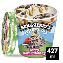 B&J Non-Dairy Berry Revolutionary Sundae   8x433ml
