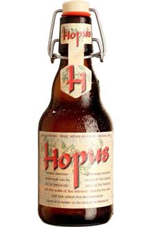 Hopus    BIER&CO   20x33cl