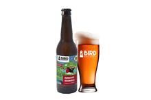 Bird - Rumoerige Roodborst BIER&CO 12x33cl