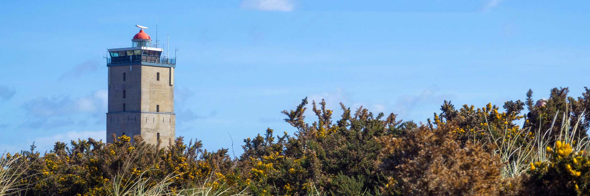 Een sfeerbeeld van Terschelling met de Brandaris op de achtergrond